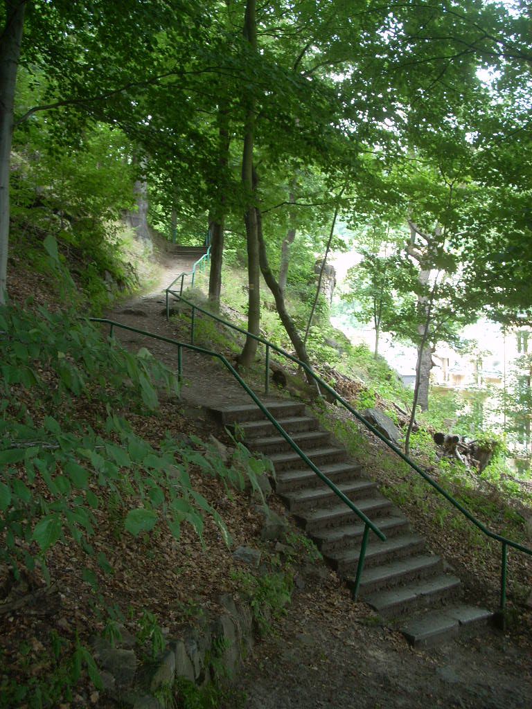 Царицынский парк лестница в лесу