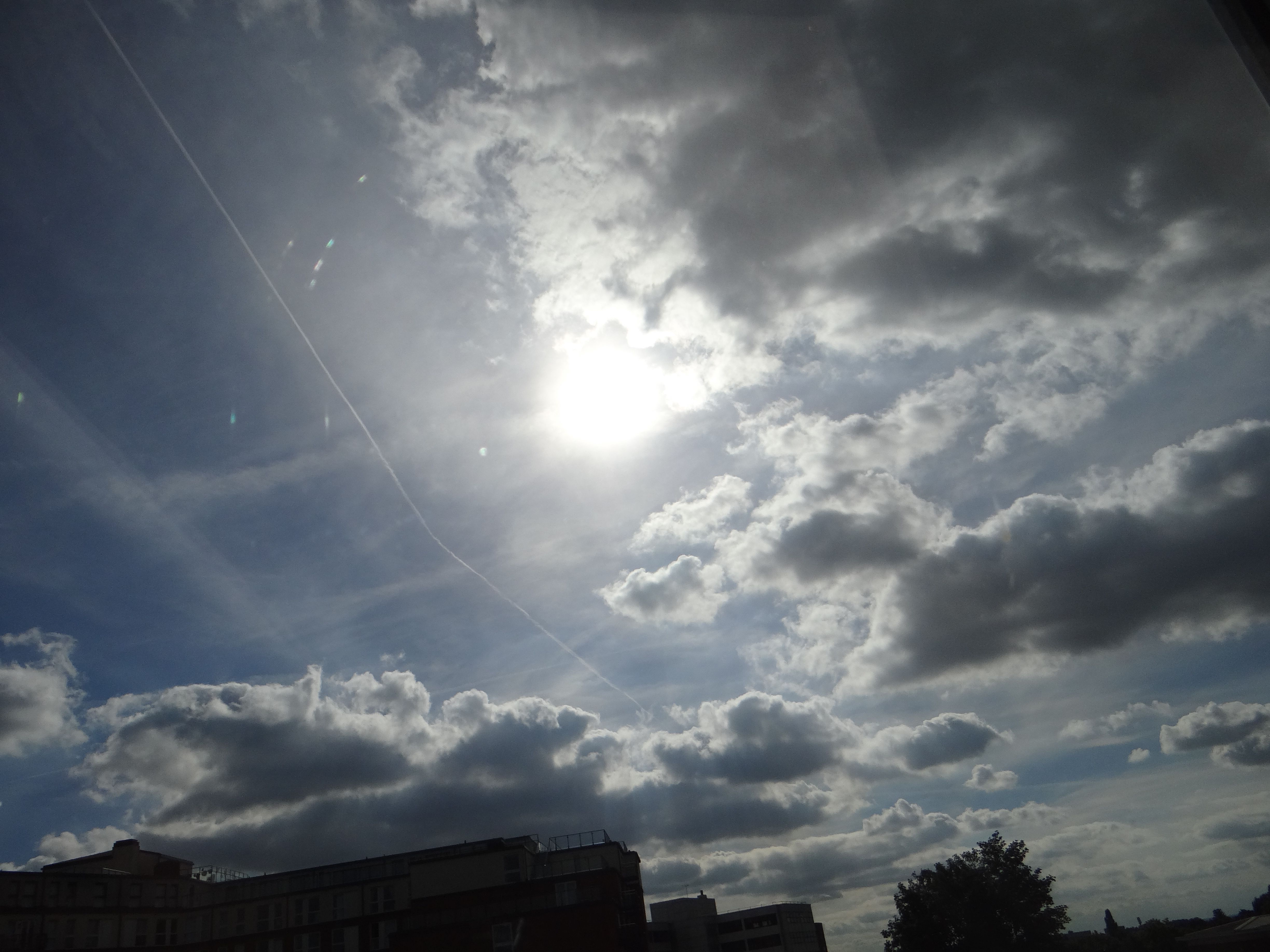 DSC05487.JPG