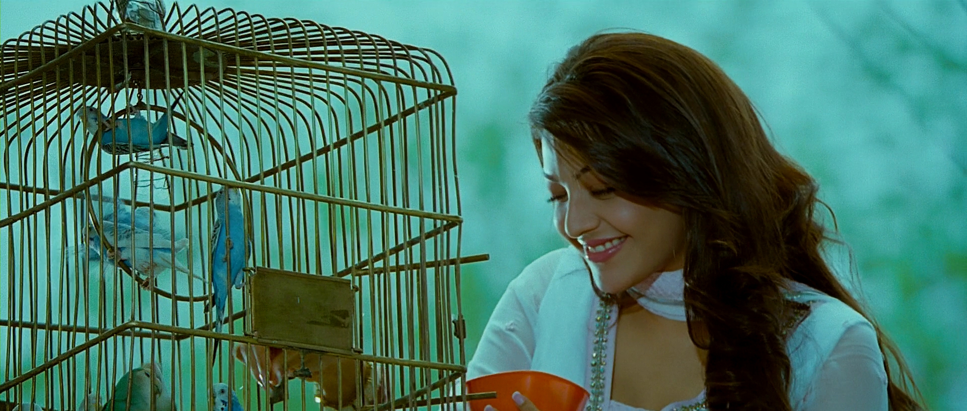 Naayak - Blu-Ray - 1080p - x264 - DTS.mkv_001315167.jpg