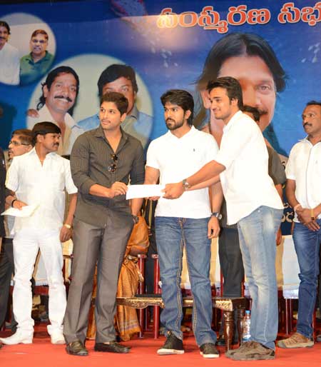 6chiru_4.jpg