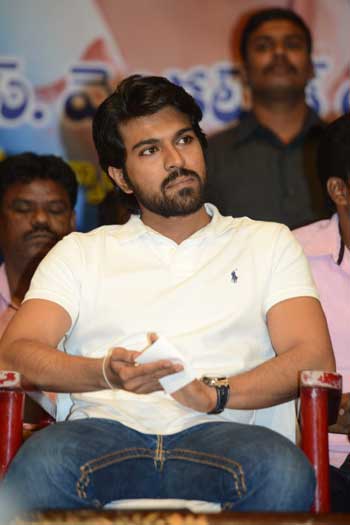 6chiru_6.jpg