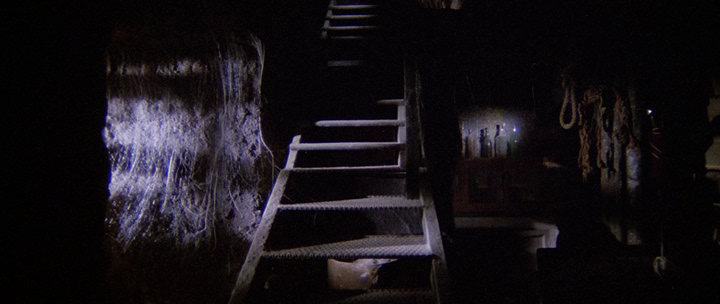 The.House.by.the.Cemetery.1981.bdrip_[1.46]_[teko][(107079)20-20-50].PNG
