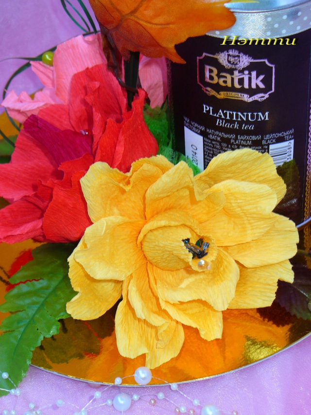 P1500055.jpg