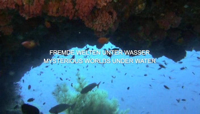 Faszination.Korallenriff_Fremde.Welten.unter.Wasser.2012.dvdrip_[745]_[teko][(000765)08-59-05].PNG