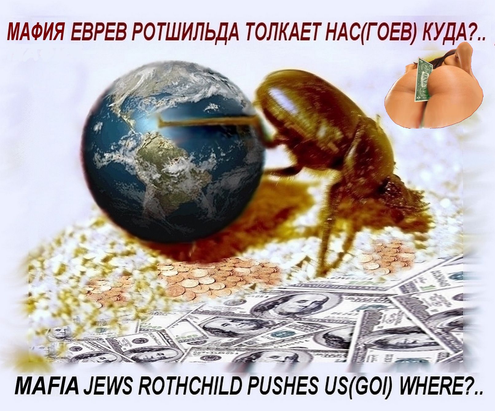 00015638.jpg
