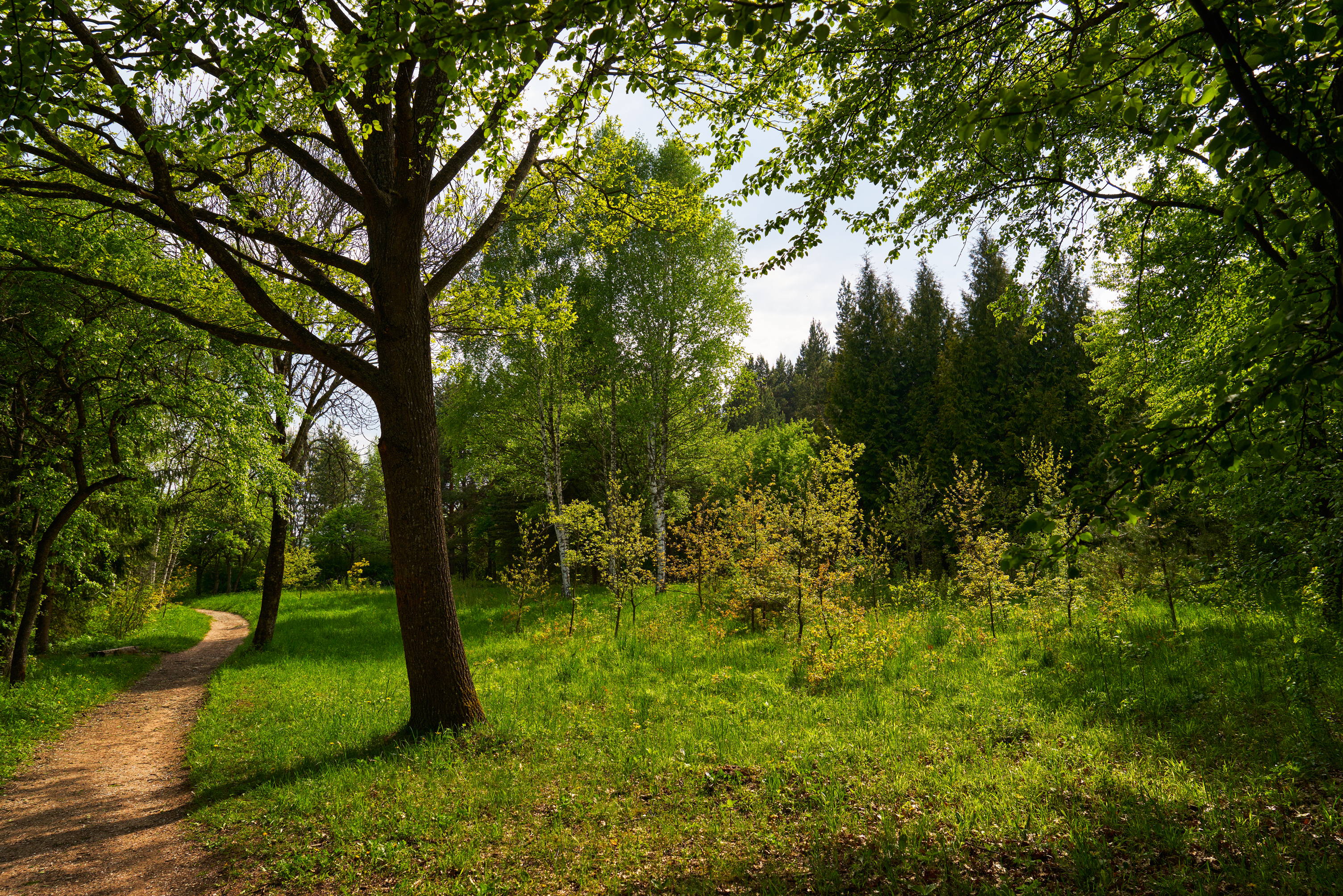 _DSC3009_1-1-1.jpg