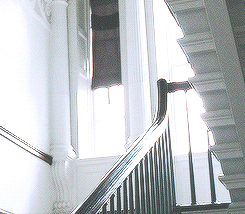 tumblr_mlh33uw2lW1qmoz1zo1_250.gif