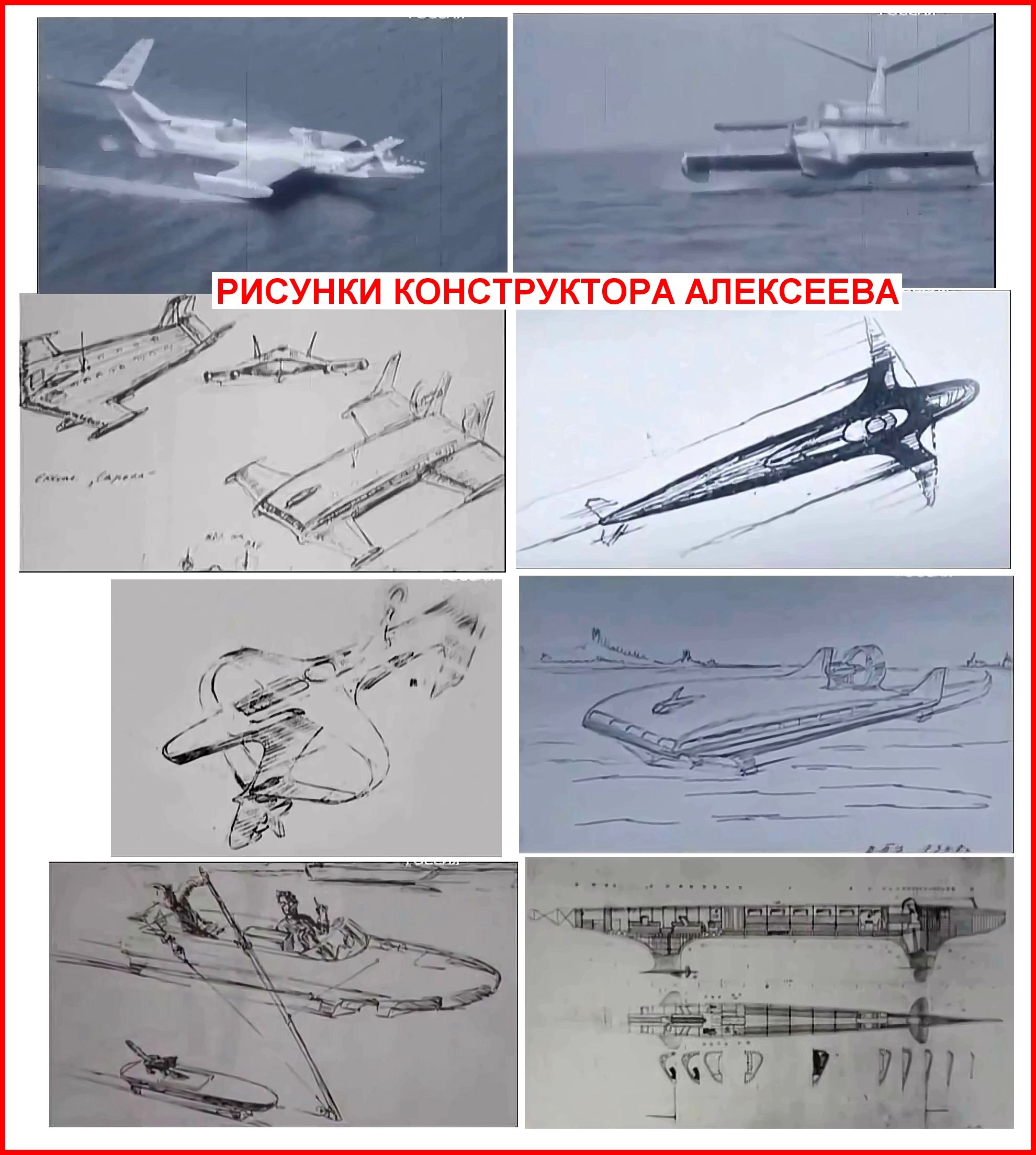 АЛЕКССЕВ.jpg