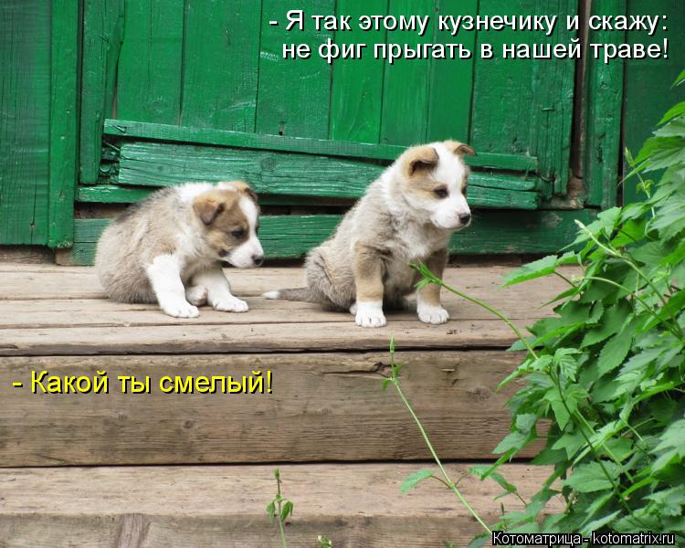Она не то испугалась не то