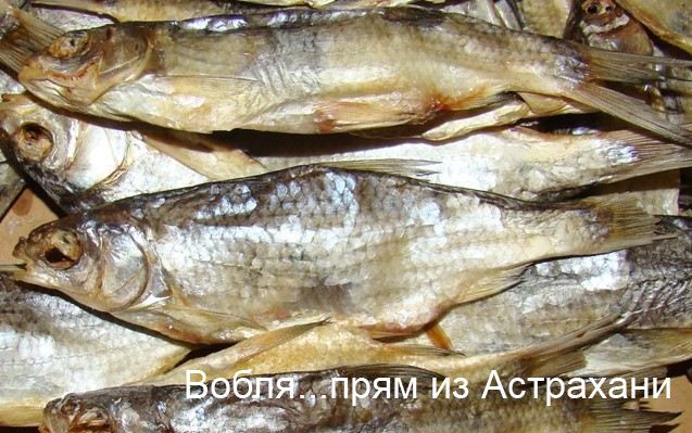 vobla_astrahanskaya.jpg