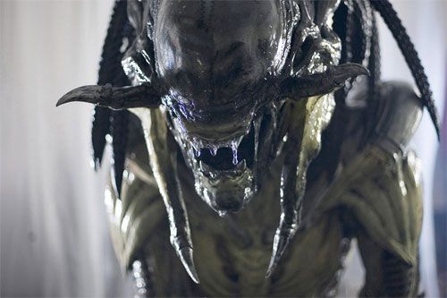 alienvspredator2_12.jpg