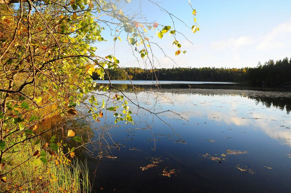 Погода светлое озеро. Озеро светлое Павлово-Посадский район. Озеро светлое Североуральск. Светлое озеро Колпашево. Светлое (озеро, Чувашия).