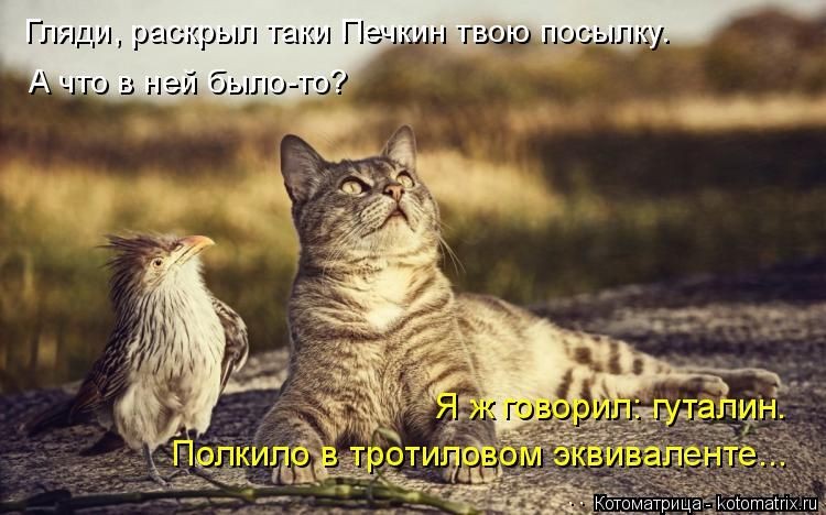 http://i1.imageban.ru/out/2015/10/14/1f7df56a1029935e476f1cba4067e1bb.jpg