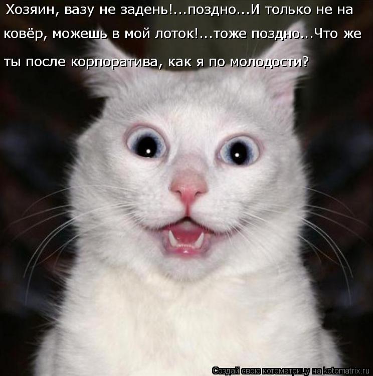 https://i1.imageban.ru/out/2015/11/25/7d3c237a5c7c53e6f532efa0419d914a.jpg