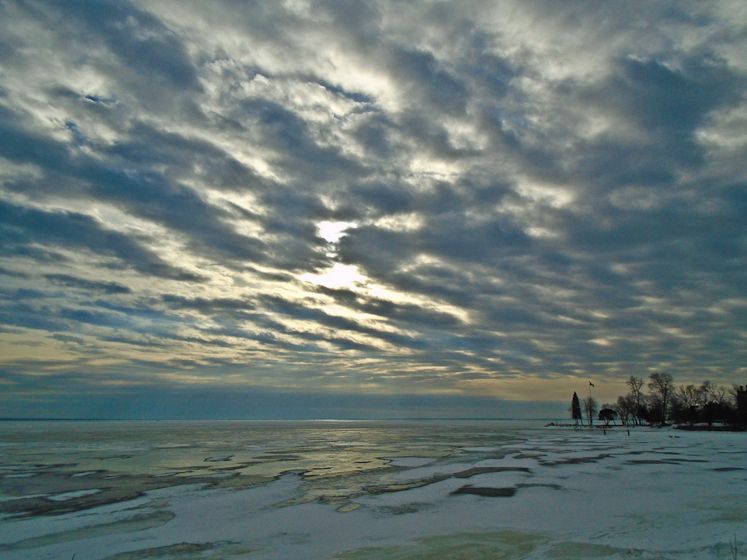 january 31, 2016 smalls-29.jpg