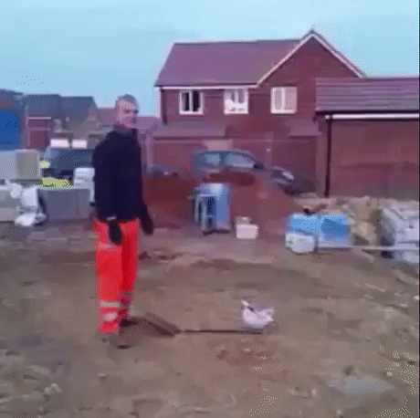 145921545219517862.gif