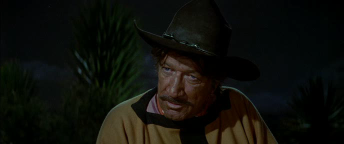 Big.Jake..1971.dvdrip_[745]_[teko][(094379)10-49-52].PNG
