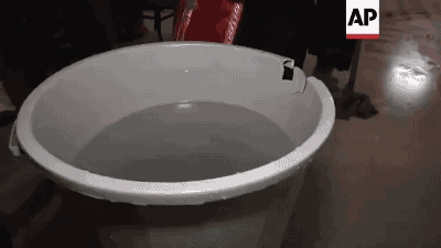 123.gif