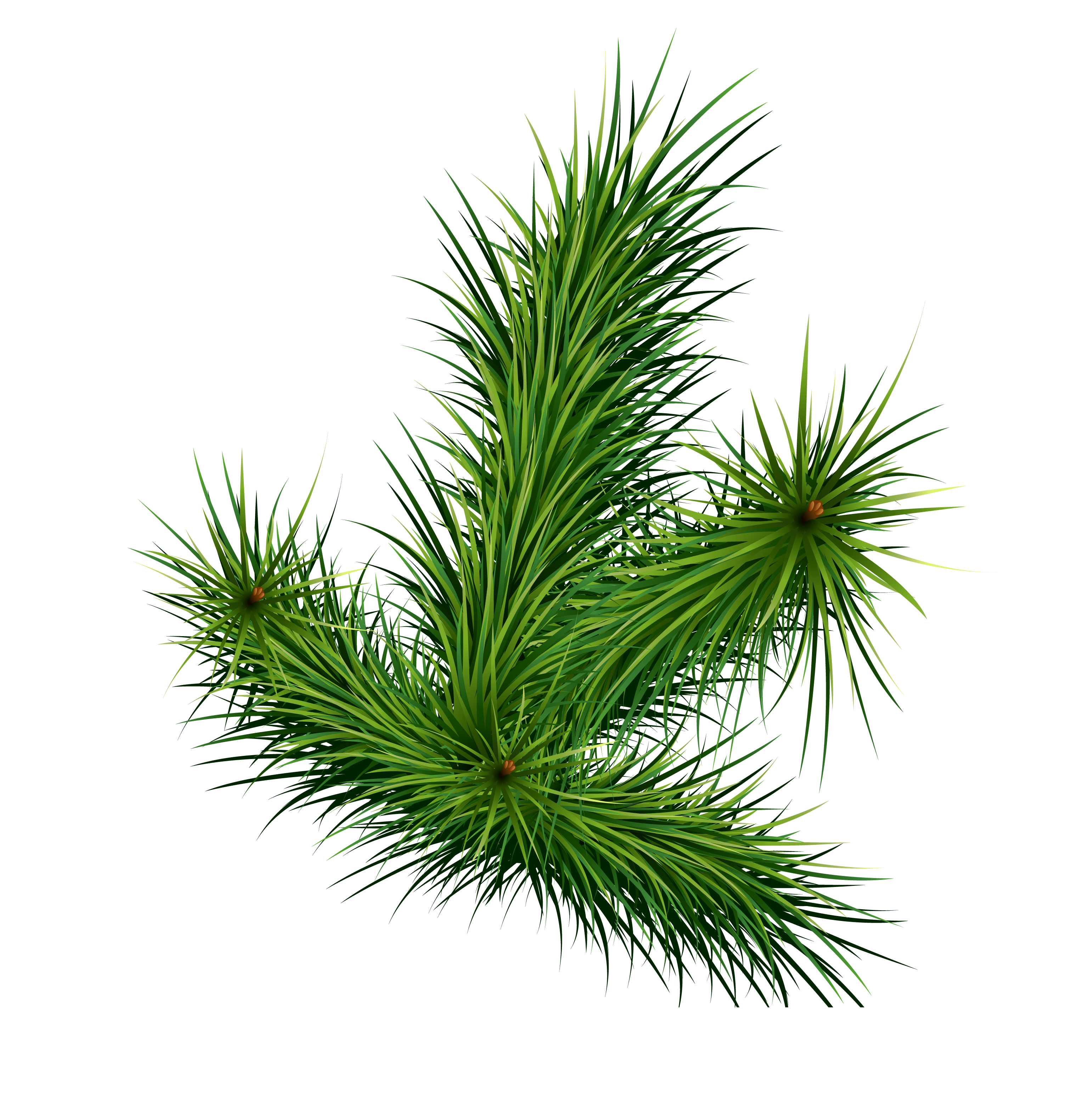 SviDen.RU_NYPNG_tree (45).png