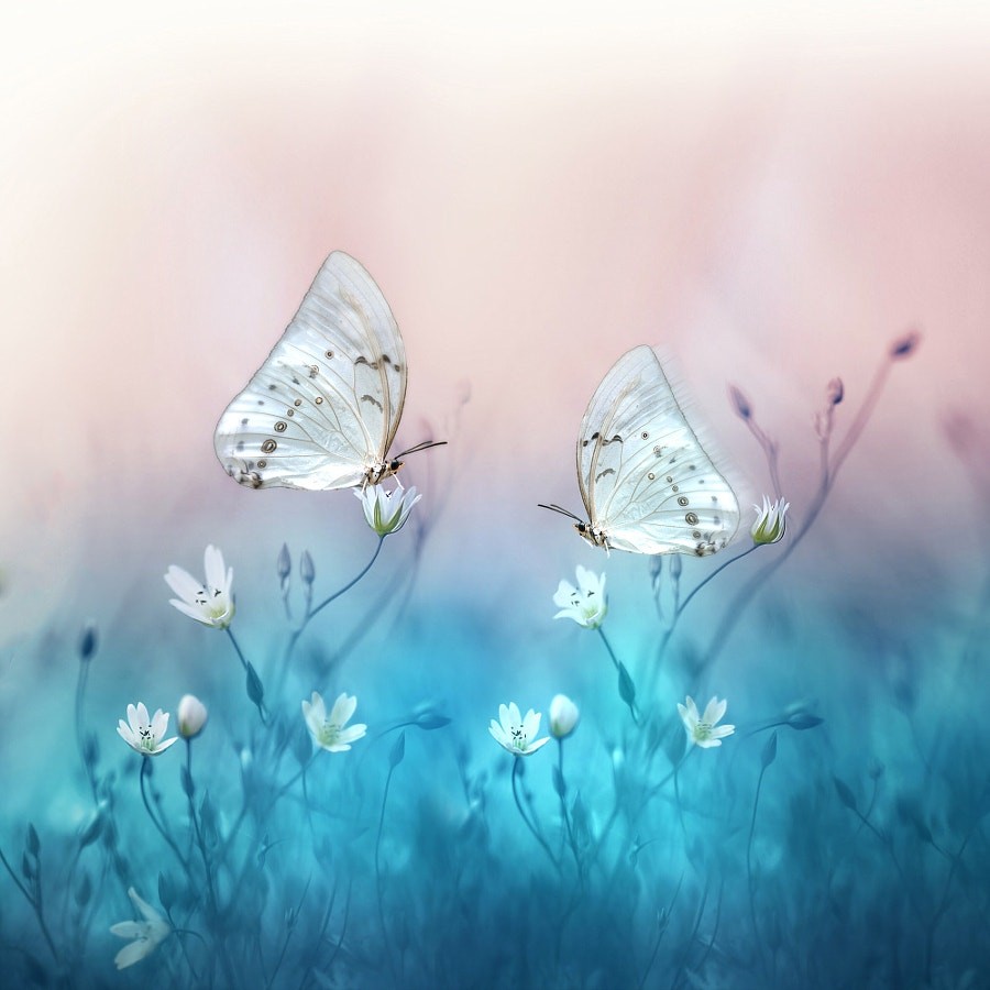 tumblr_oiepam2Jz71rd8524o2_1280.jpg
