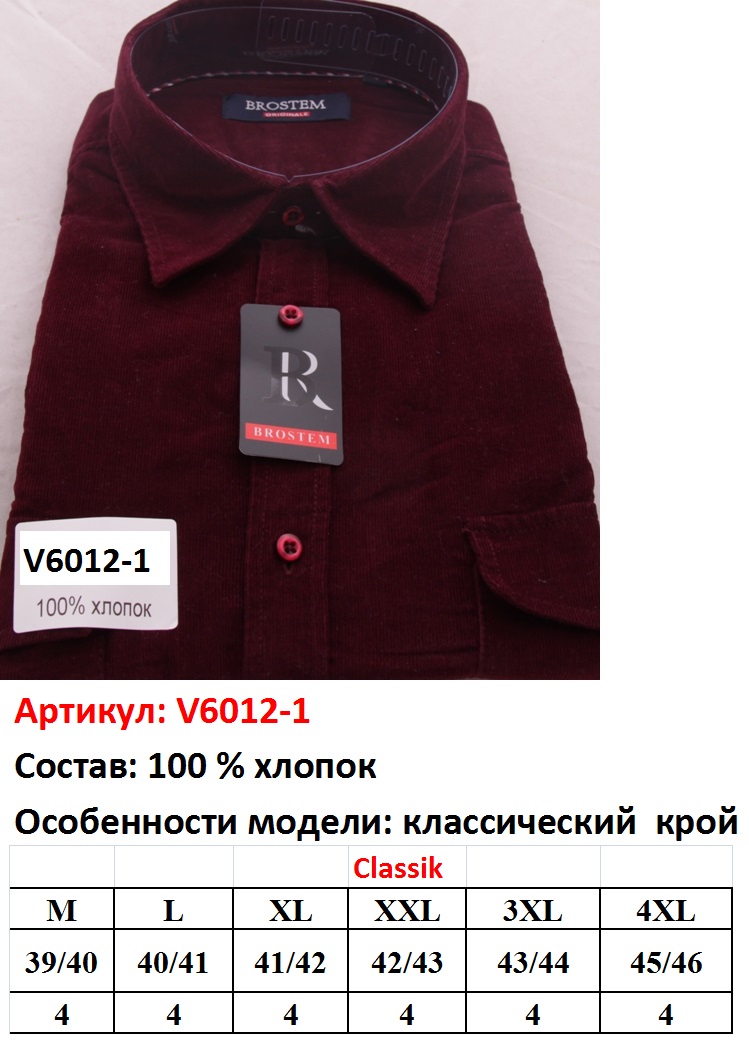 v6012-1.JPG