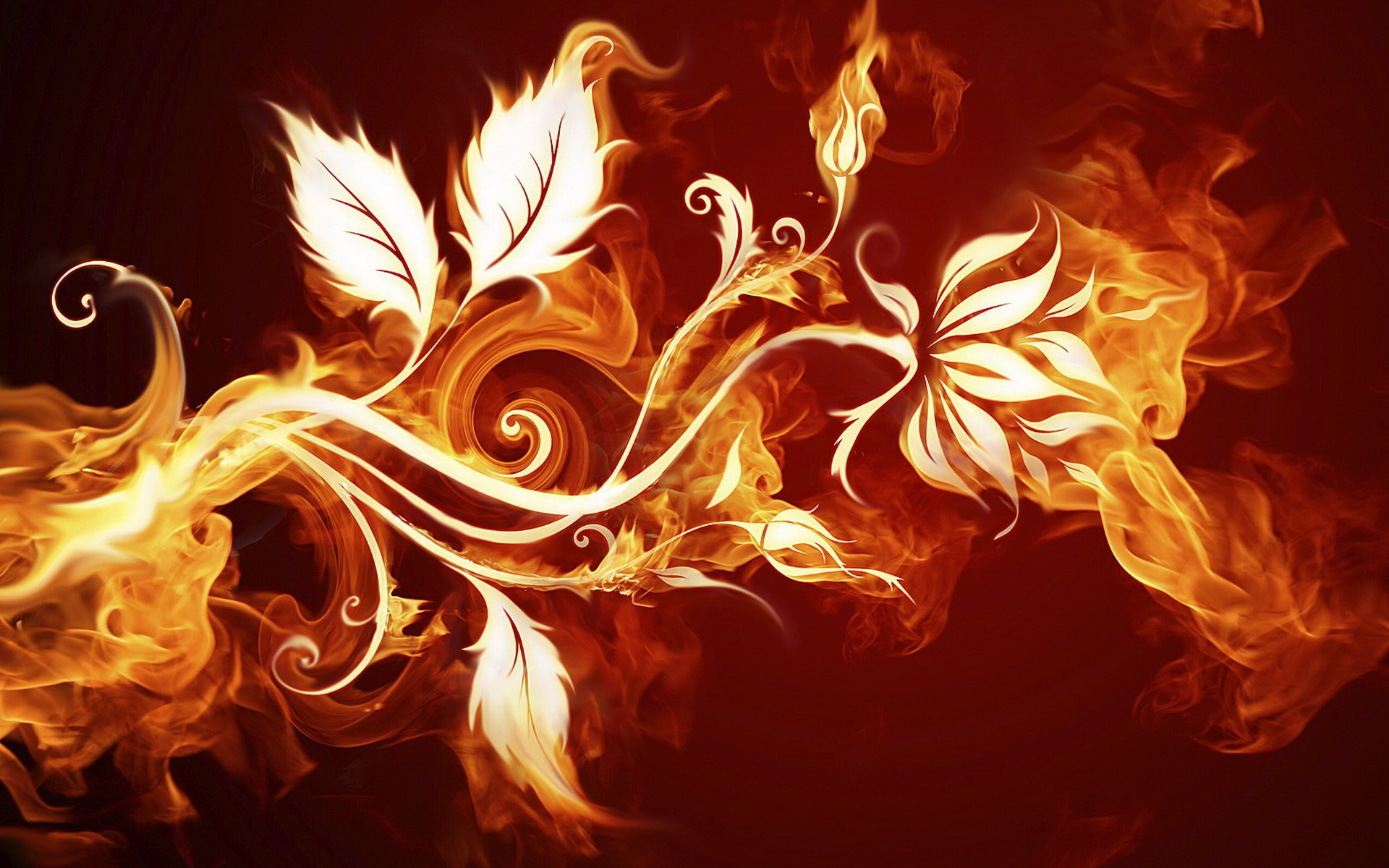3d-abstract-fire-flowers-wallpaper-1920x1200.jpg