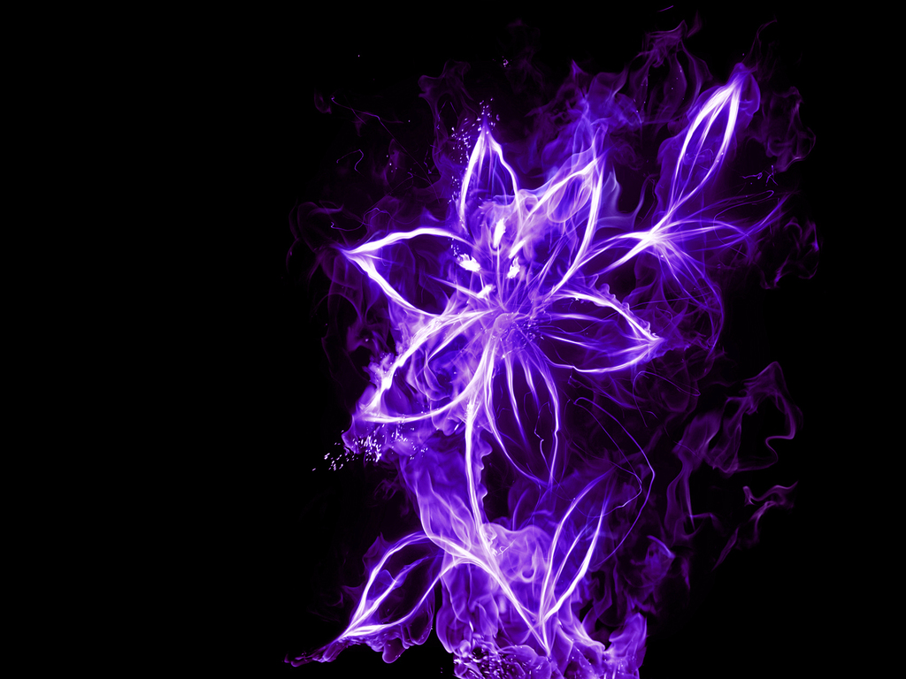 purple-neon-flowers-1024x768.jpg