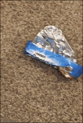 123.gif