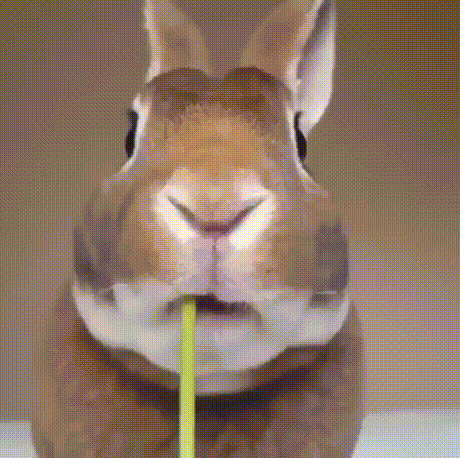 123.gif