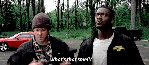 307 tumblr_nihx0qqkn01u64coeo2_500 1.gif