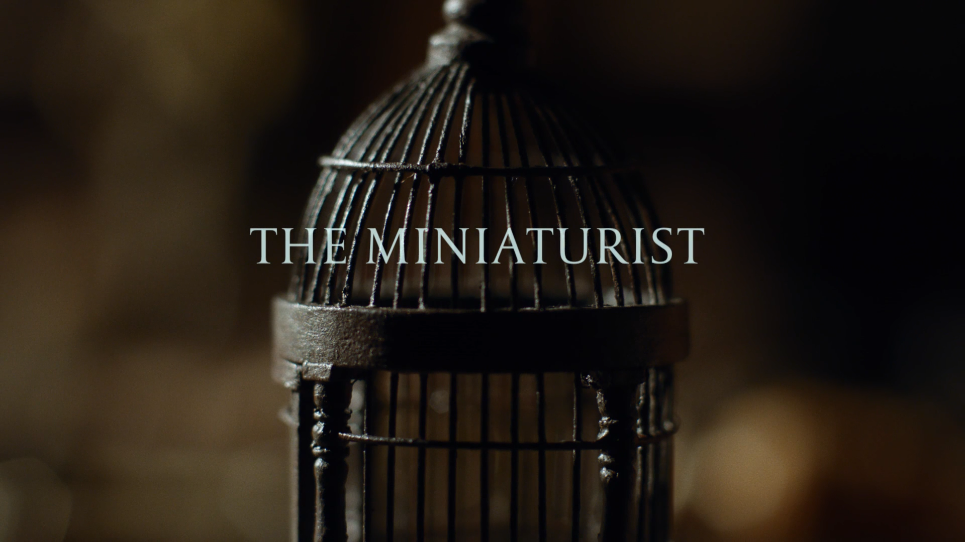The.Miniaturist.E01.1080p.BluRay.DD2.0.x264.-whip93.mkv_snapshot_00.00.28.png