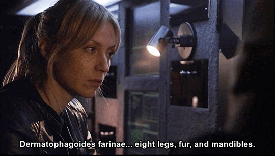 503 tumblr_p07yplZ3N61r38ucmo2_540 2.gif
