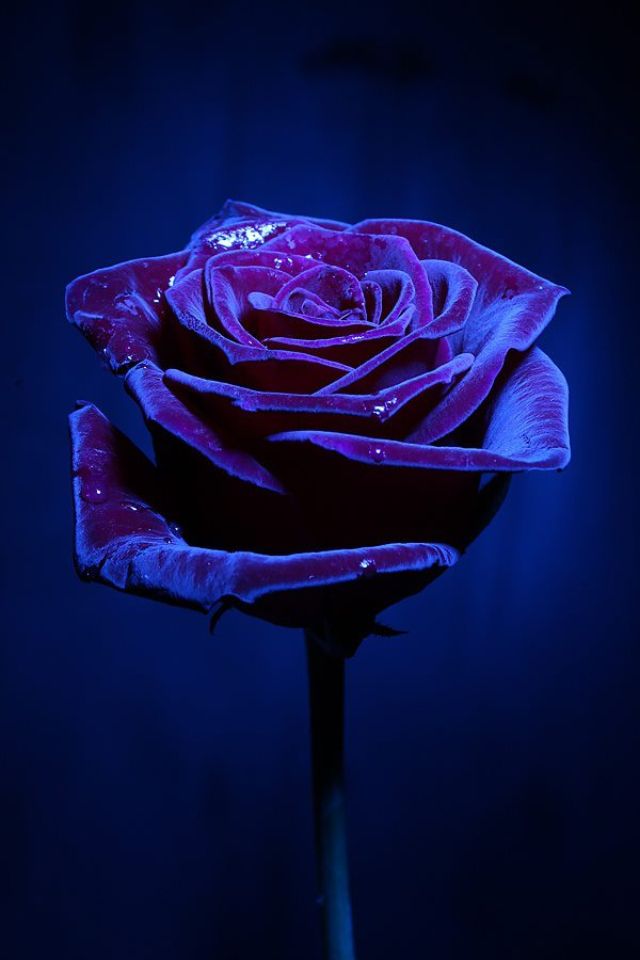 6e378837cf2790c34e31973d651420ae.jpg