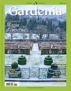 Gardenia - Gennaio 2019
