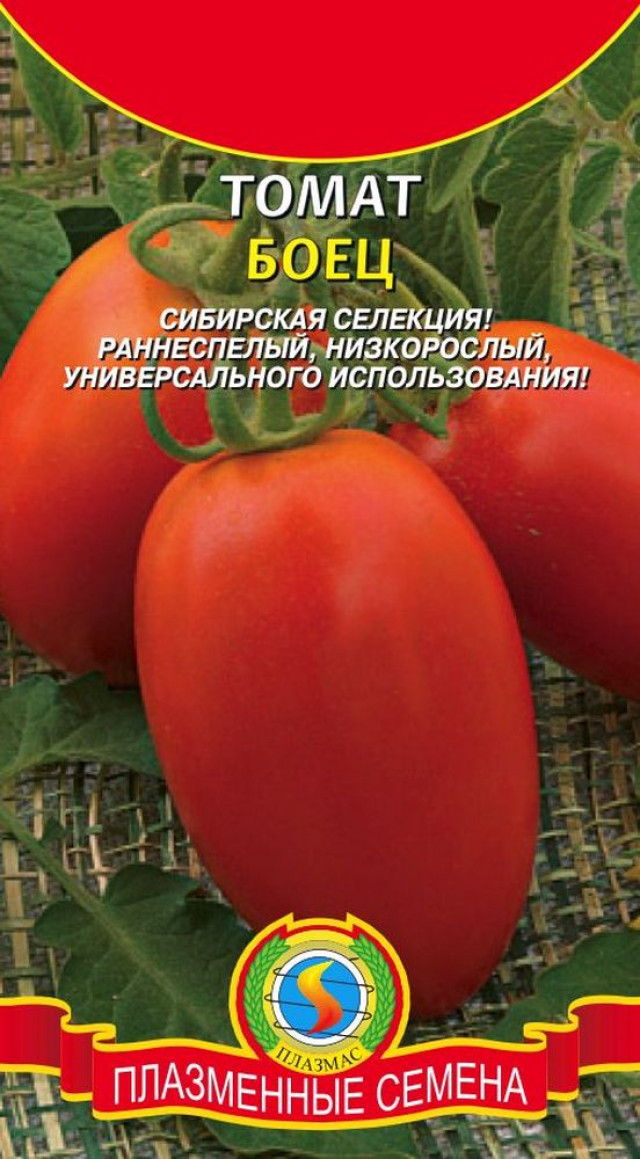 Буян красный томат описание. Томат боец (Буян). Семена томат боец (Буян). Сорт помидор Буян боец. Помидоры боец Буян описание.