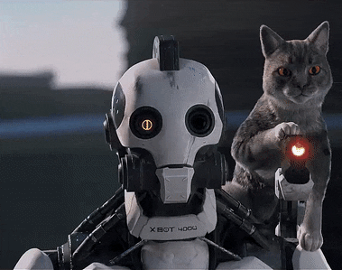 tumblr_pp4xv9h04f1xm8oujo1_400.gif