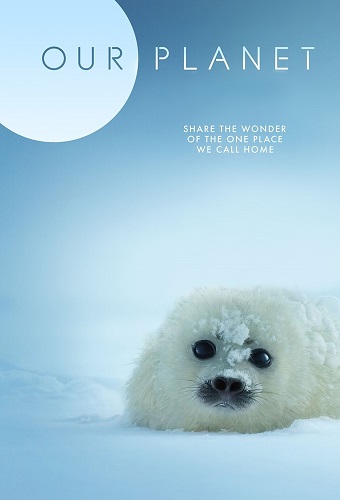 Our Planet 2019 S01 PROPER 1080p WEB X264-METCON Our Planet 2019 S01 PROPER 1080p WEB X264-METCON