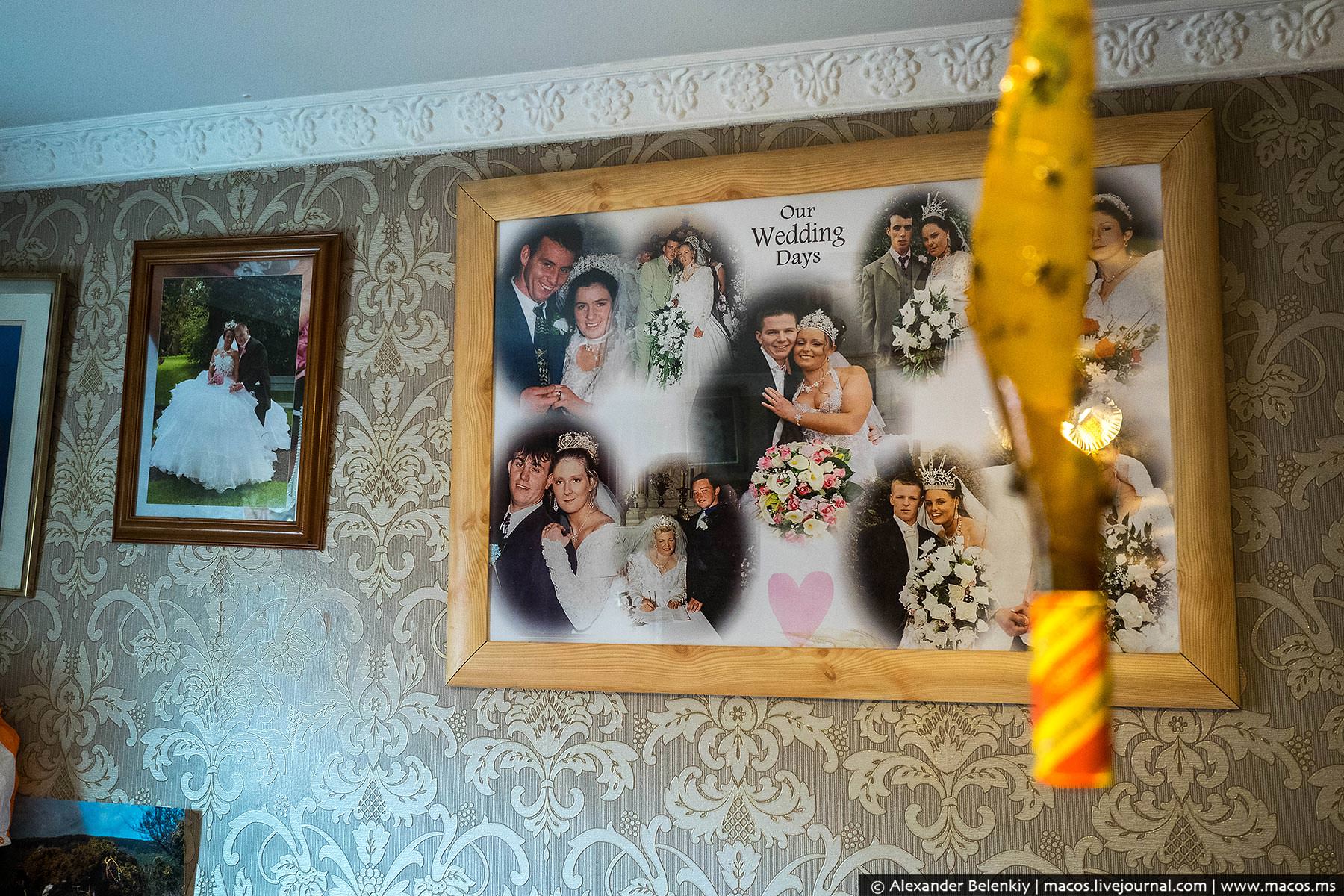 https://i1.imageban.ru/out/2019/05/20/ed48567662f4a2d503a5b48ac3123c91.jpg