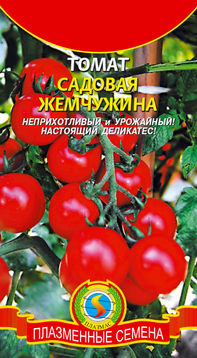 Томат Жемчужина Фото