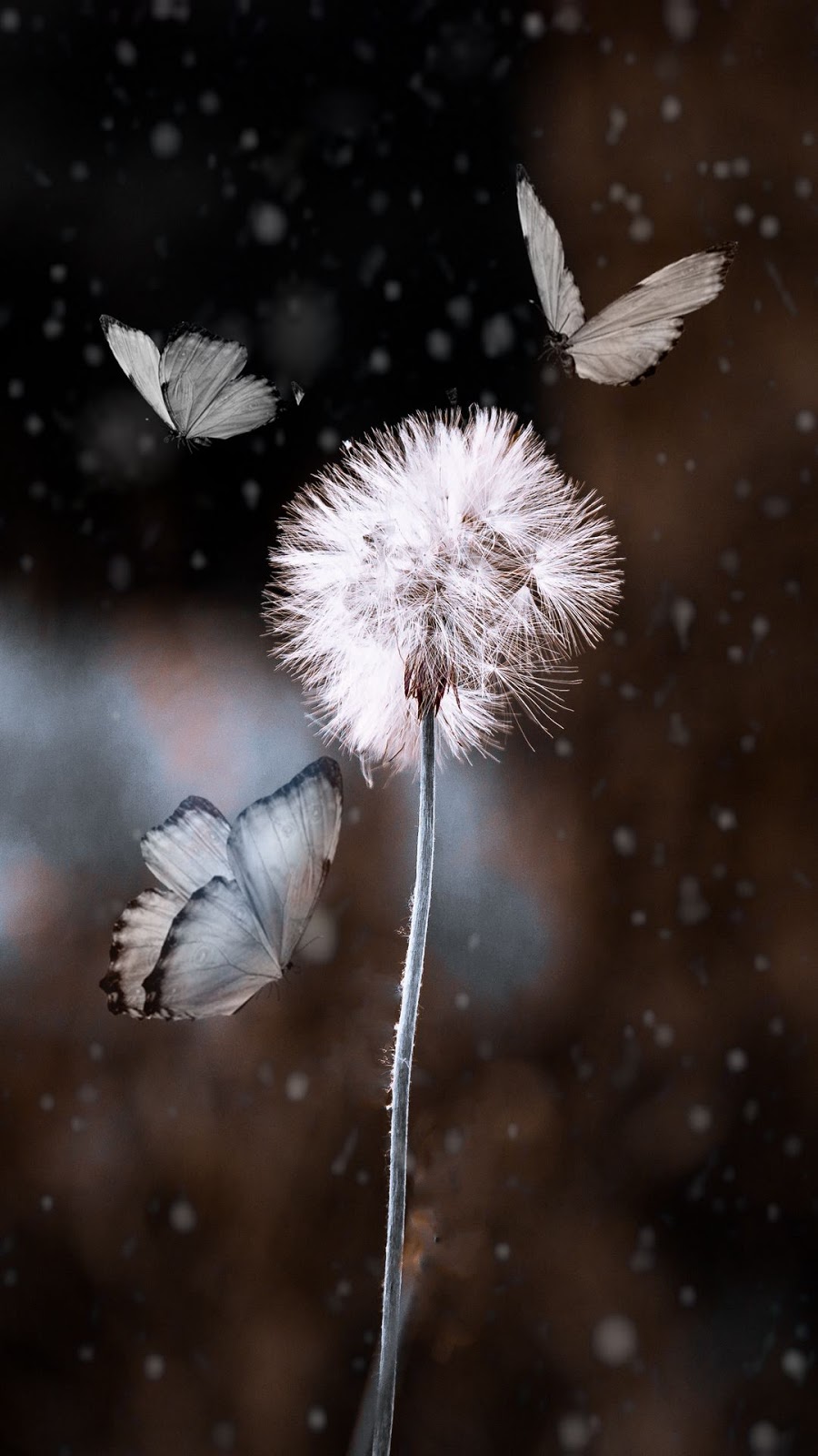 1000-Free-Iphone-HD-Wallpapers-Thewallpaper.net-226.jpg