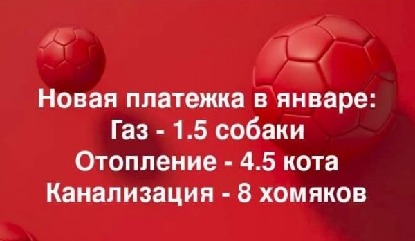 https://i1.imageban.ru/out/2020/02/02/b50b883e838cb4eb7b5f310579b47c9f.jpg