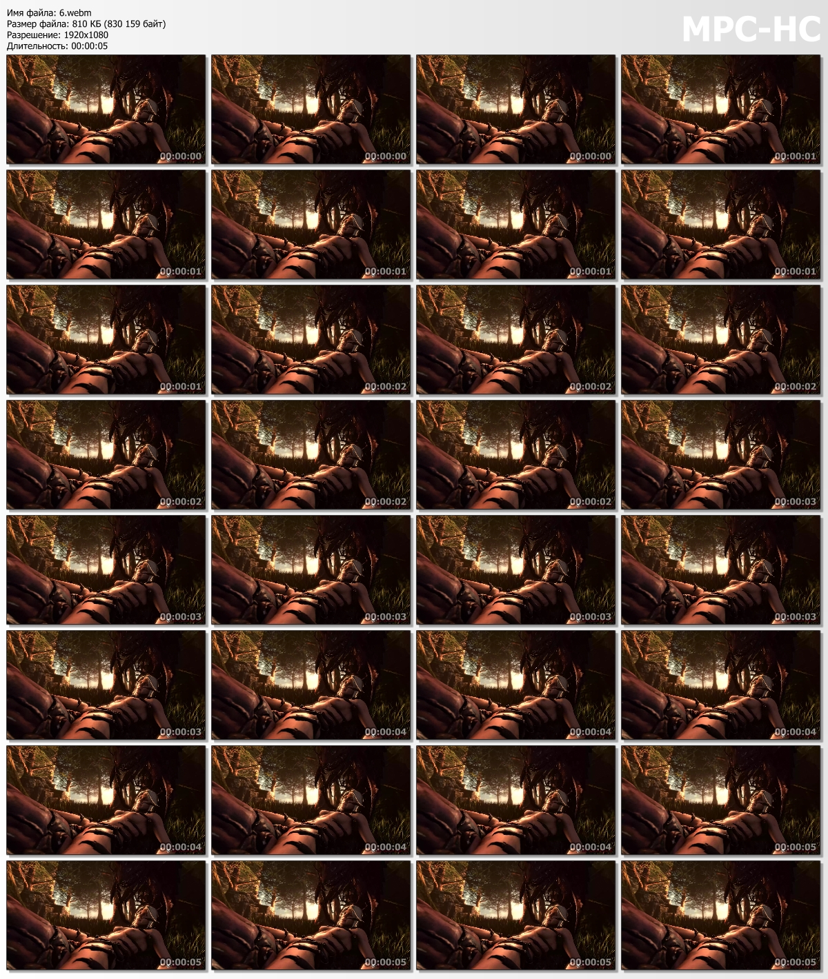 6.webm_thumbs.jpg