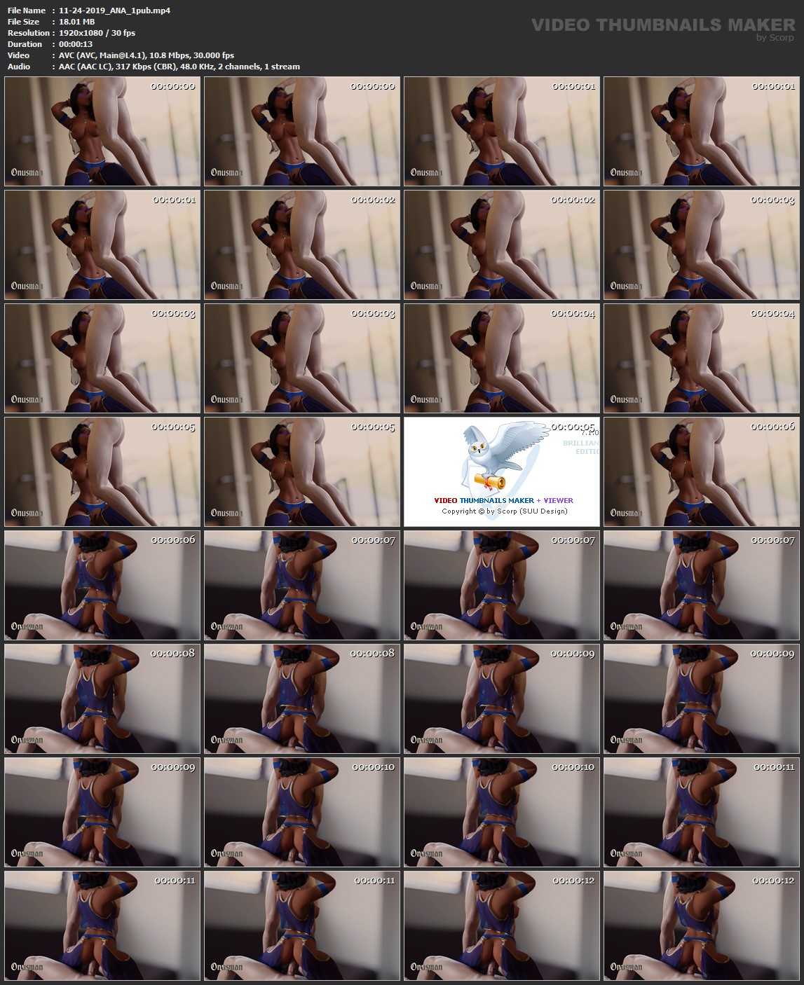 11-24-2019_ANA_1pub.mp4.jpg