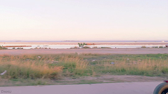 18.gif