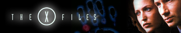 The X Files S05E12 MULTi 1080p WEB H264 NERO