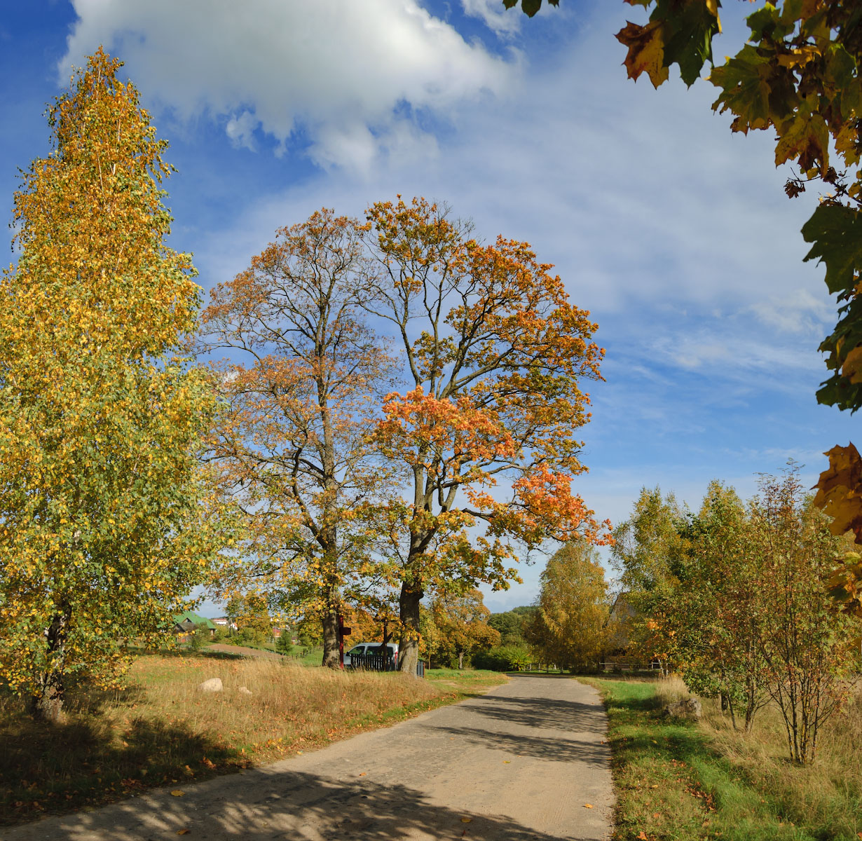 DSC_0060-Pano copy.jpg