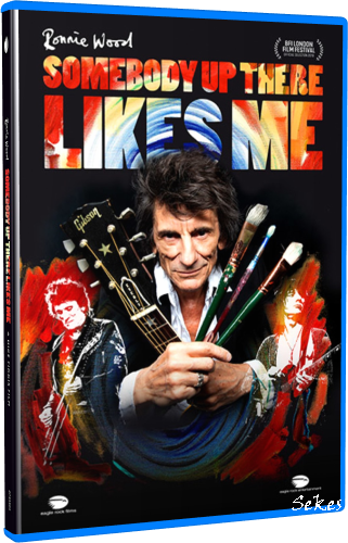 Ronnie Wood - Somebody Up There Likes Me (2020, Blu-ray)