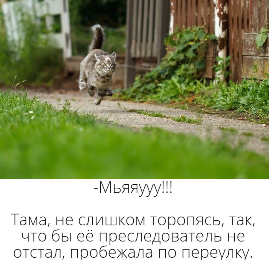 https://i1.imageban.ru/out/2020/10/15/afc3215455fa071387840b1ed22fd071.jpg