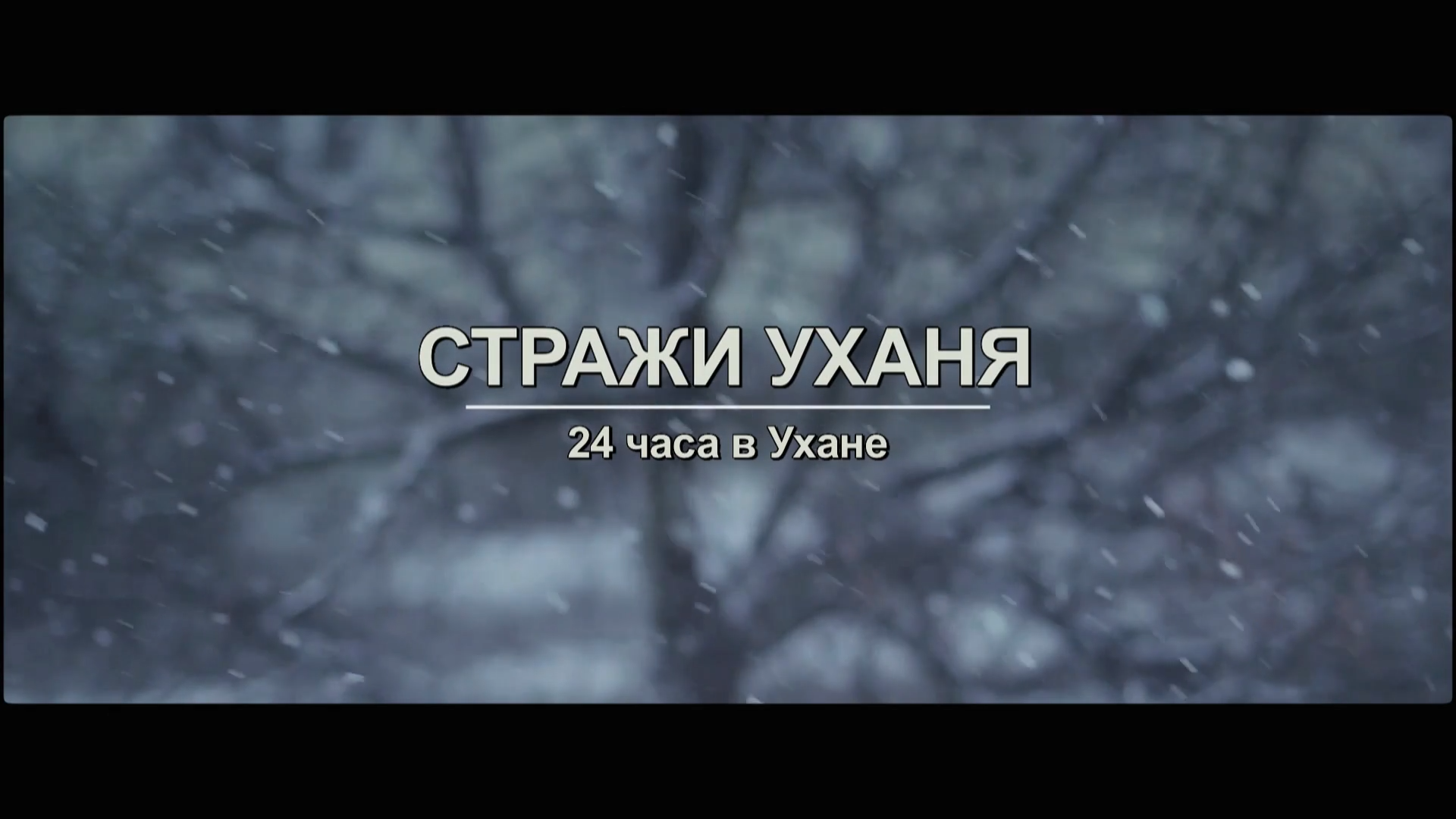 Стражи.Уханя.24.часа.в.Ухане.2020.WEBDL.1080p-ylnian.mkv_snapshot_00.16.323.png