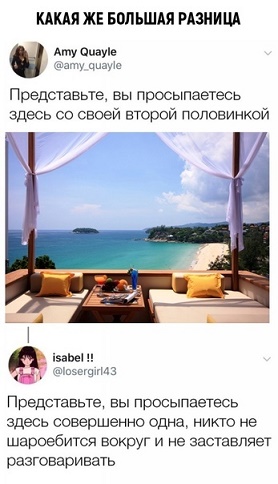 8262044.jpg